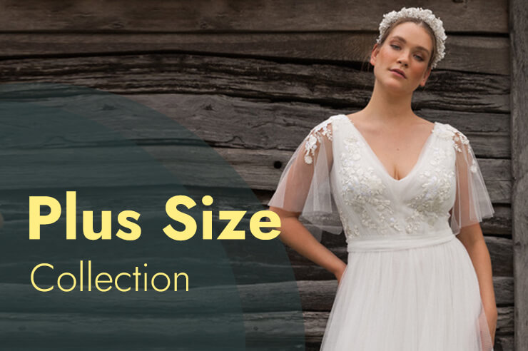 Plus Size Collection
